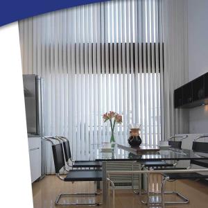 blinds for the window