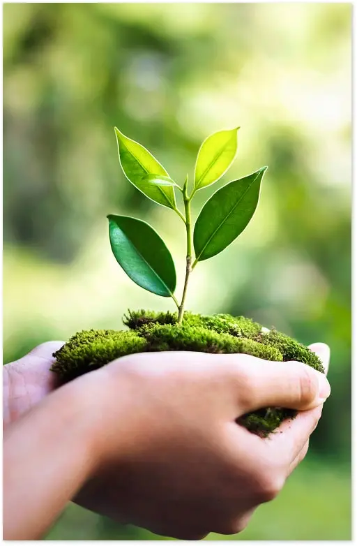 window blinds onna min