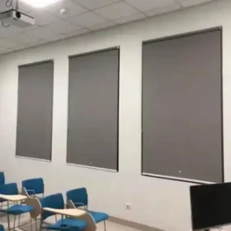 Kebutuhan Pencahayaan dan Privasi