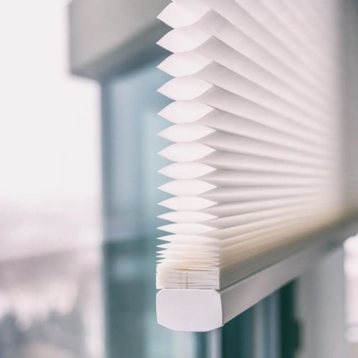 Apa Itu Honeycomb Blinds?