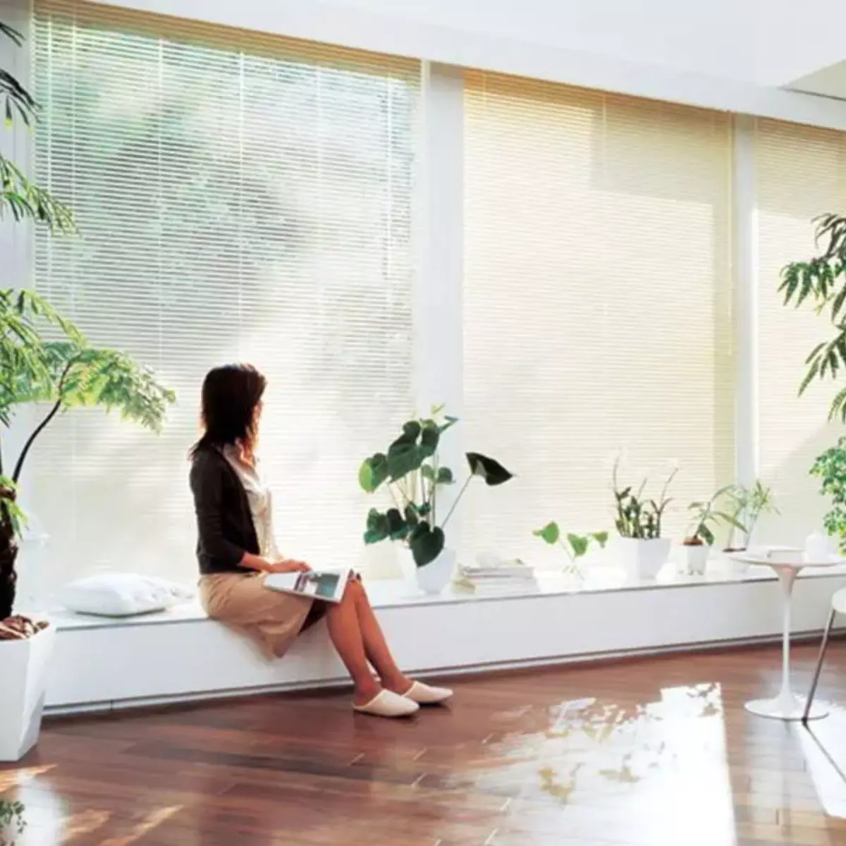 Cara Merawat Slimline Blinds agar Tetap Awet