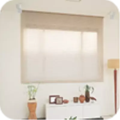 Window Blinds